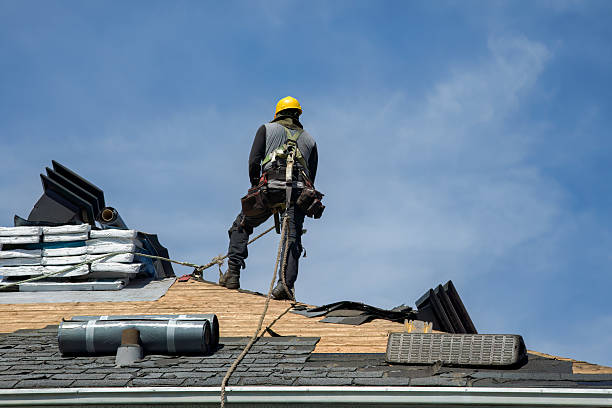 Professional Roof Replacement technician working in Condon, MT
